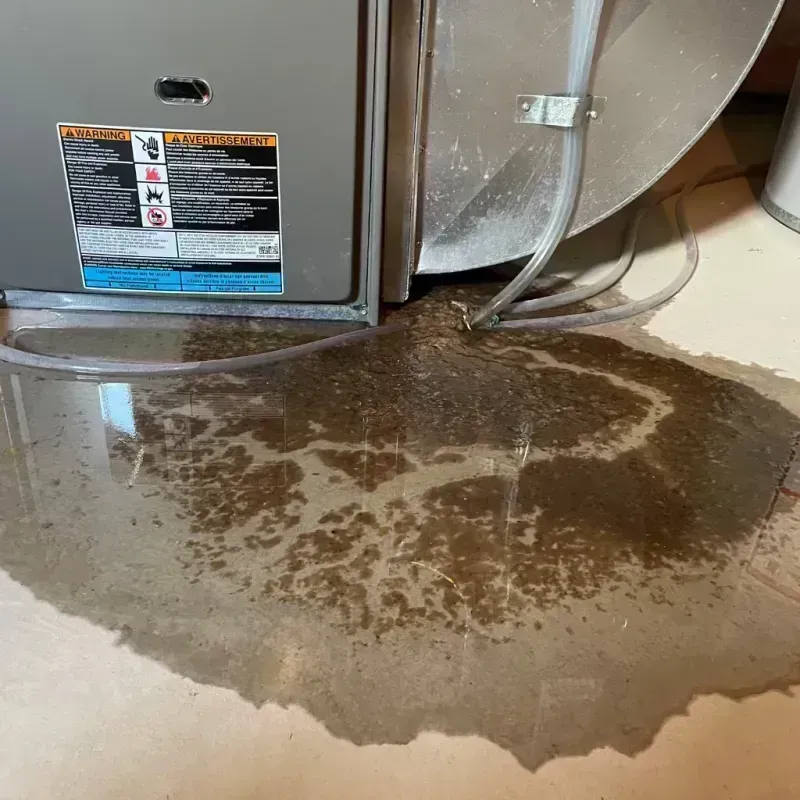 Appliance Leak Cleanup in Thornton, CO